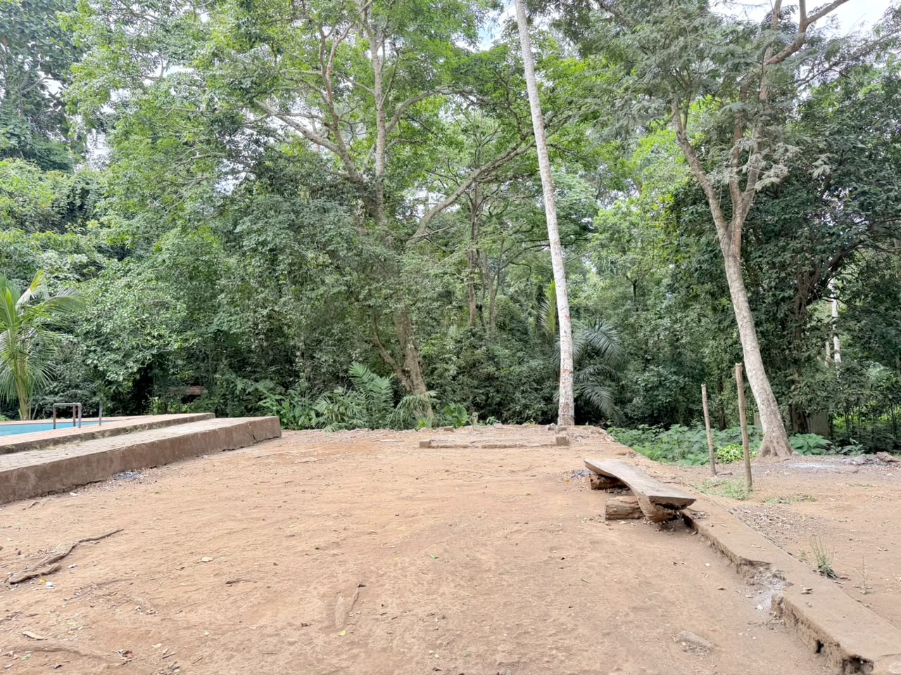 Galeri