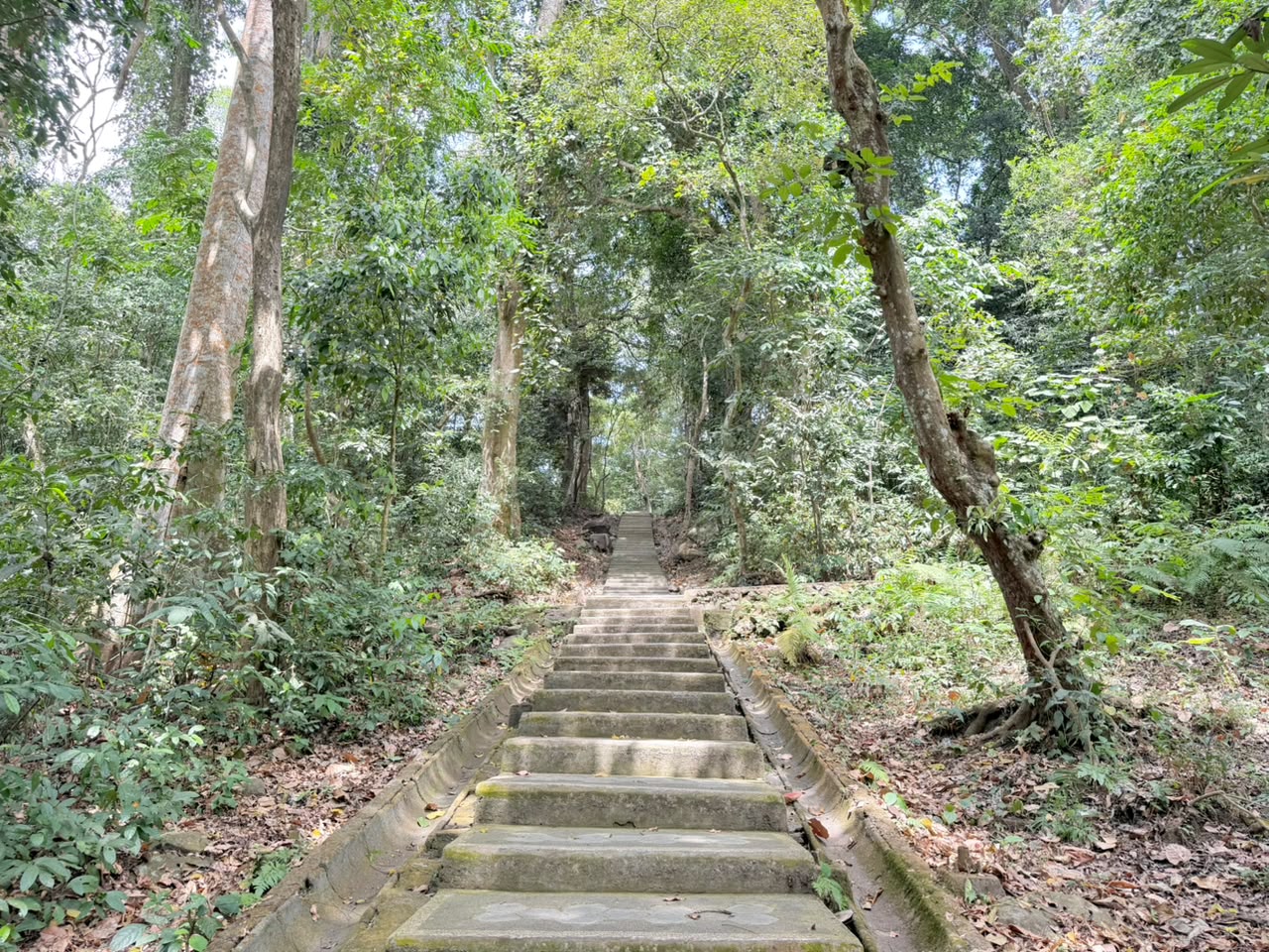 Galeri